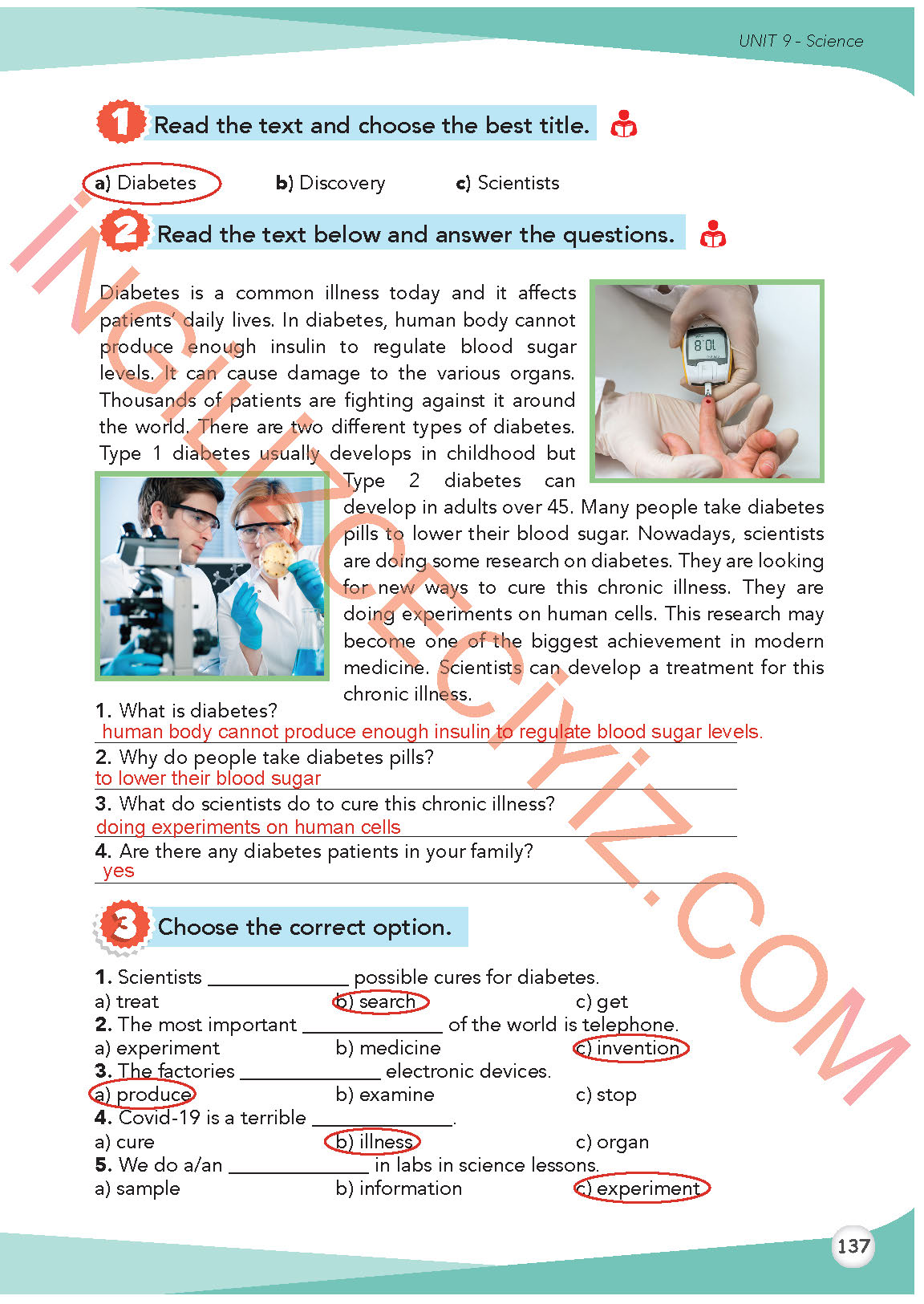 8-sinif-ingilizce-meb-yayinlari-ders-kitabi-sayfa-137-cevaplari 8. Sınıf İngilizce Meb Yayınları Ders Kitabı Sayfa 137 Cevapları